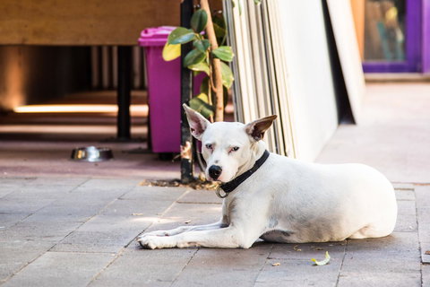 Jump Inn Alice Budget Accommodation - Australian Directory 43