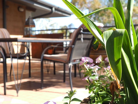 Wilmots On Dixon - Australian Directory 15