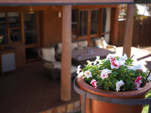 Wilmots On Dixon - Australian Directory 2