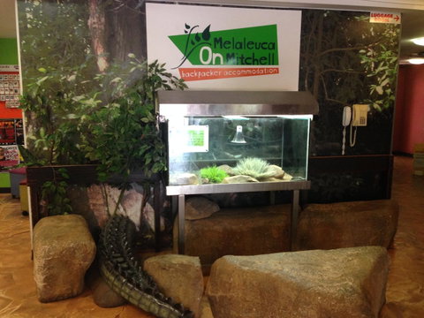 Melaleuca On Mitchell - Darwin YHA - Australian Directory 32