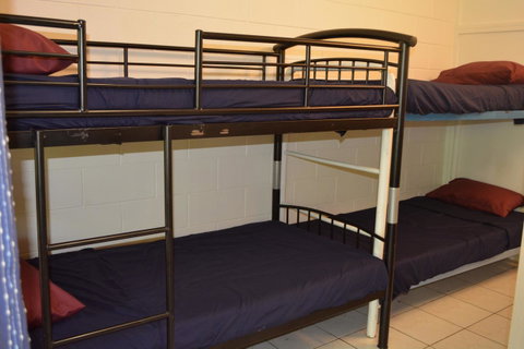 Frogs-Hollow Backpackers - Australian Directory 7
