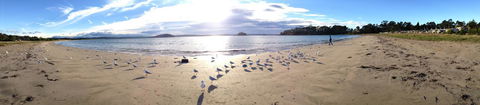 Corrigans Cove - Australian Directory 2