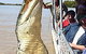 Kakadu @ The Kube (Darwin City) - thumb 3