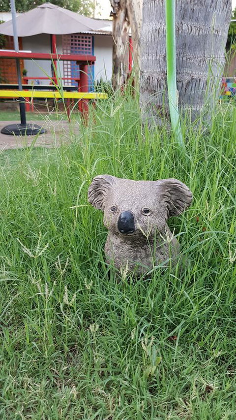 Alice\'s Secret Travellers Inn - Australian Directory 25