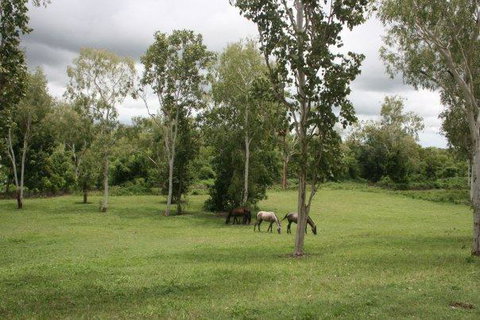 Mount Bundy Station - Australian Directory 25