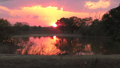 Mount Bundy Station - Australian Directory 20