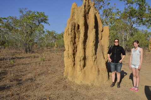 Mount Bundy Station - Australian Directory 44