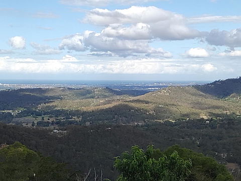 Bottletree Gardens - Mini Manson Blue - Australian Directory 2