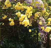 Bowral Road Bed and Breakfast - Australian Directory