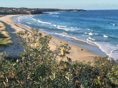 Burrill Lakeview Cottage - Australian Directory 2