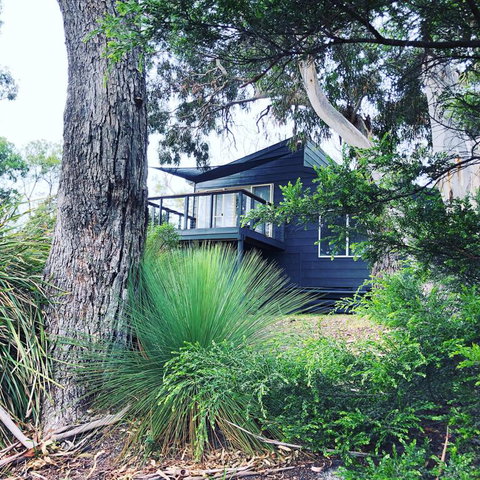 Bush Hideaway By The Beach - Australian Directory 3