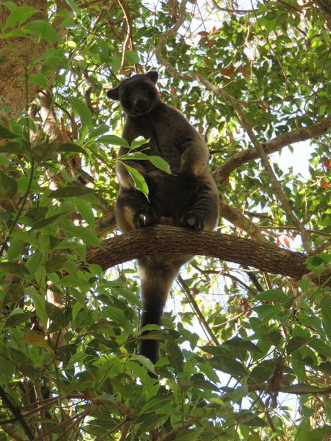 Bushland Cottages And Lodge - Australian Directory 3
