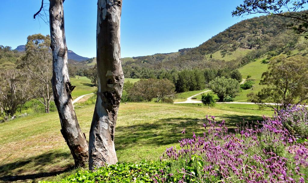 Capertee NSW Australian Directory
