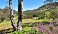 Book Capertee Accommodation Vacations Australian Directory Australian Directory