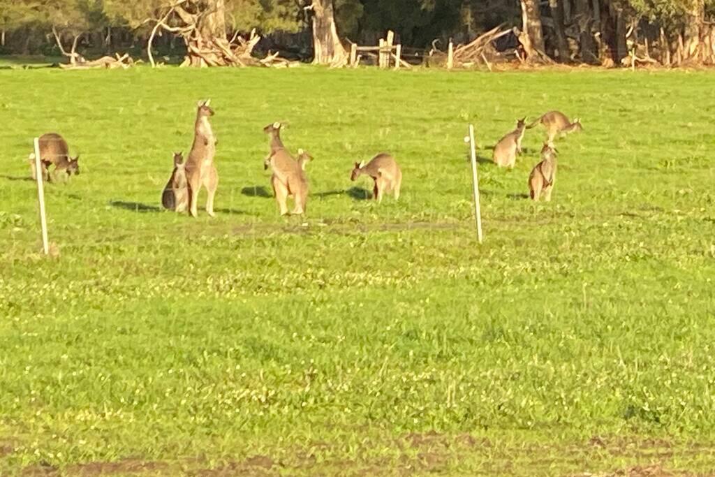 Carbunup River WA Australian Directory
