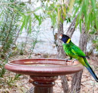 Caves Road Chalets - Australian Directory