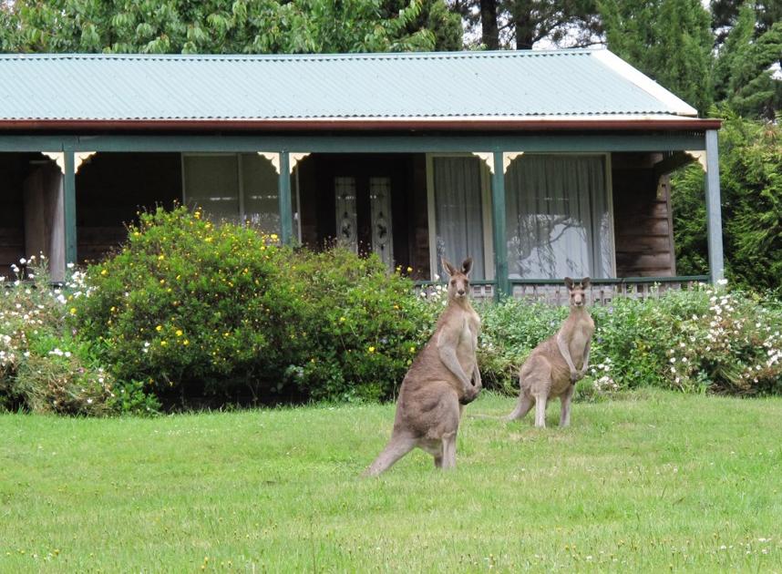 Mount Irvine NSW Australian Directory