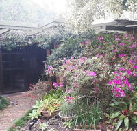Charming country house close to Grafton - Australian Directory