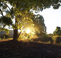 Clarendon Forest Retreat - Australian Directory