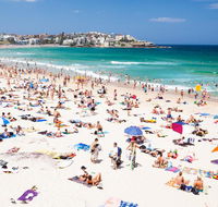 CLIFFSIDE BONDI BEACH - Australian Directory