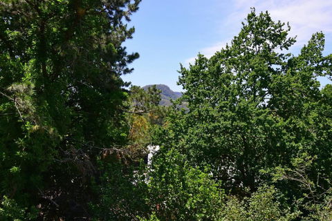 Cloudsong Chalet 4 - Close To The Village Centre! - Australian Directory 3