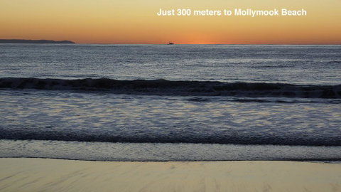 Clyde Studio 53, Mollymook - Australian Directory 3