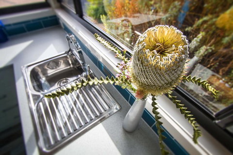 Coorong Cabins - Australian Directory 3