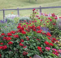 Country Mile Escape - Australian Directory