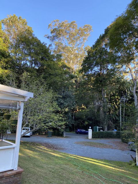 Curtis Falls Studio-Apartment - Australian Directory 3