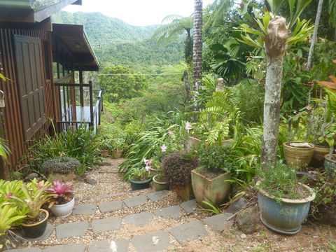 Daintree Holiday Homes - The Folly - Australian Directory 0