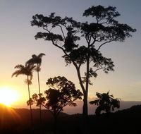 Daintree Holiday Homes - Yurara - Australian Directory