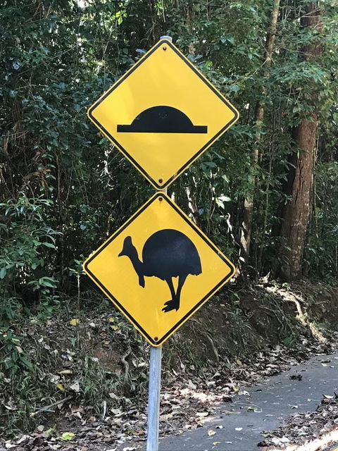 Daintree Magic - Australian Directory 1