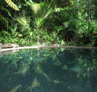 Daintree Rainforest Retreat Motel - Australian Directory