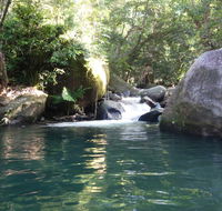 Daintree Secrets Rainforest Sanctuary - Australian Directory