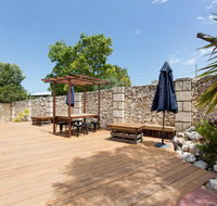 Dingo at White Gum Lodge - Australian Directory