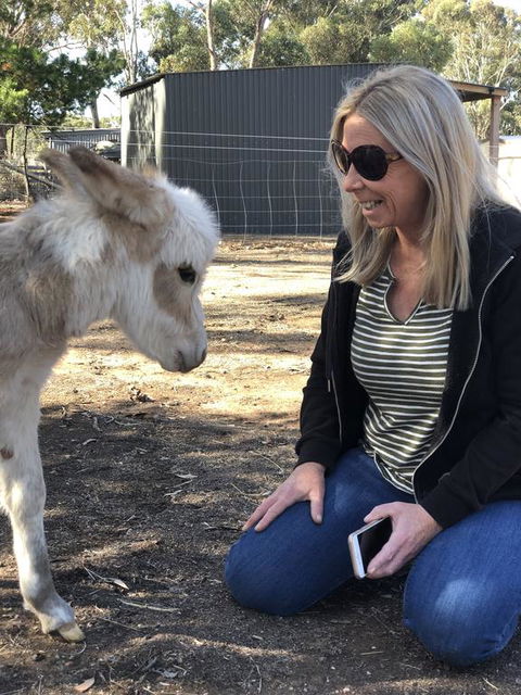 Donkey Tales Farm Cottages - Australian Directory 1