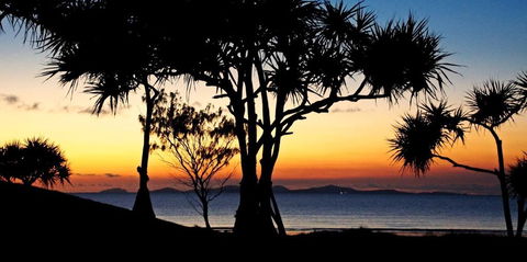 Driftwood Motel And Holiday Units - Australian Directory 2