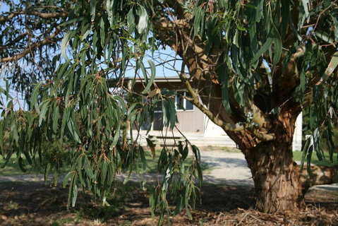 Driftwood Villas - Australian Directory 3