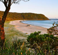 Durras Lake North Holiday Park - Australian Directory