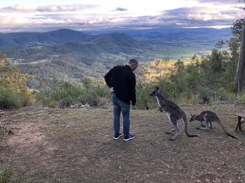 Eagleview Resort - Australian Directory 2