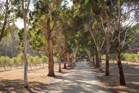 East Wing - Australian Directory 2