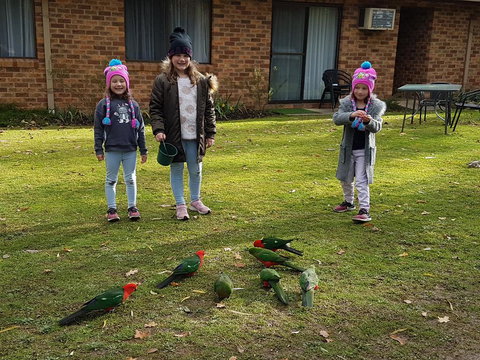 Eildon Parkview Motor Inn - Australian Directory 1