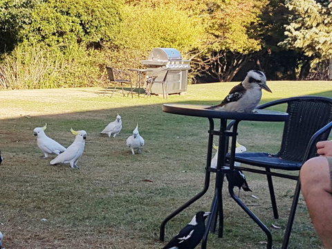 Eildon Parkview Motor Inn - Australian Directory 0