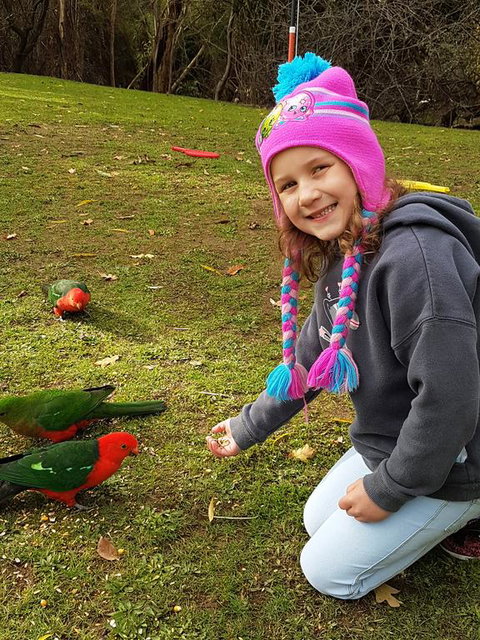 Eildon Parkview Motor Inn - Australian Directory 3