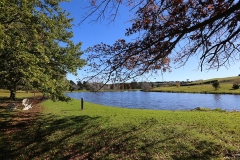 Eling Forest Winery - Australian Directory 1