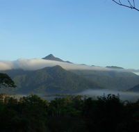 Epiphyte B  B - Australian Directory