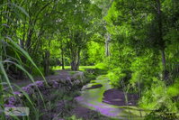 Book Esk Accommodation Vacations Australian Directory Australian Directory