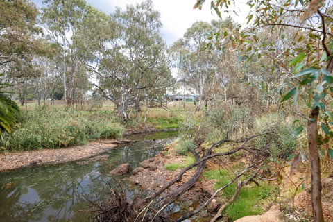 Faraday On Avoca - Australian Directory 3