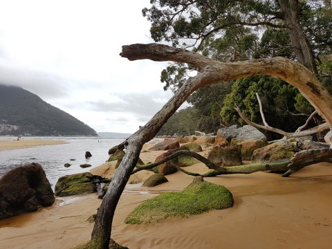 Fish Creek Alkira Accommodation - Australian Directory 1