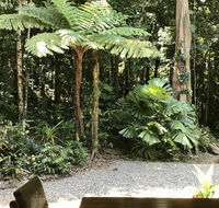 Forest Views Daintree - Australian Directory